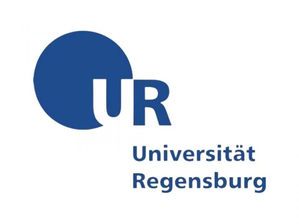 Regensburg Üniversitesi