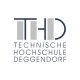 Deggendorf Teknik Üniversitesi